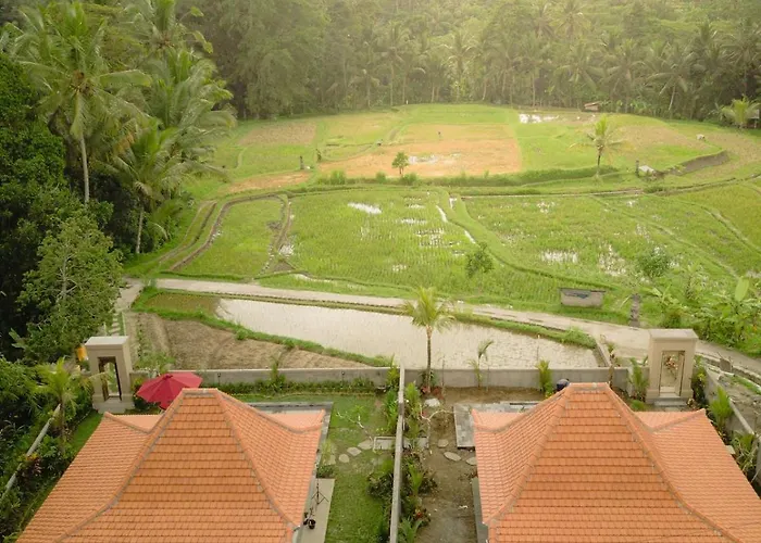 Purana